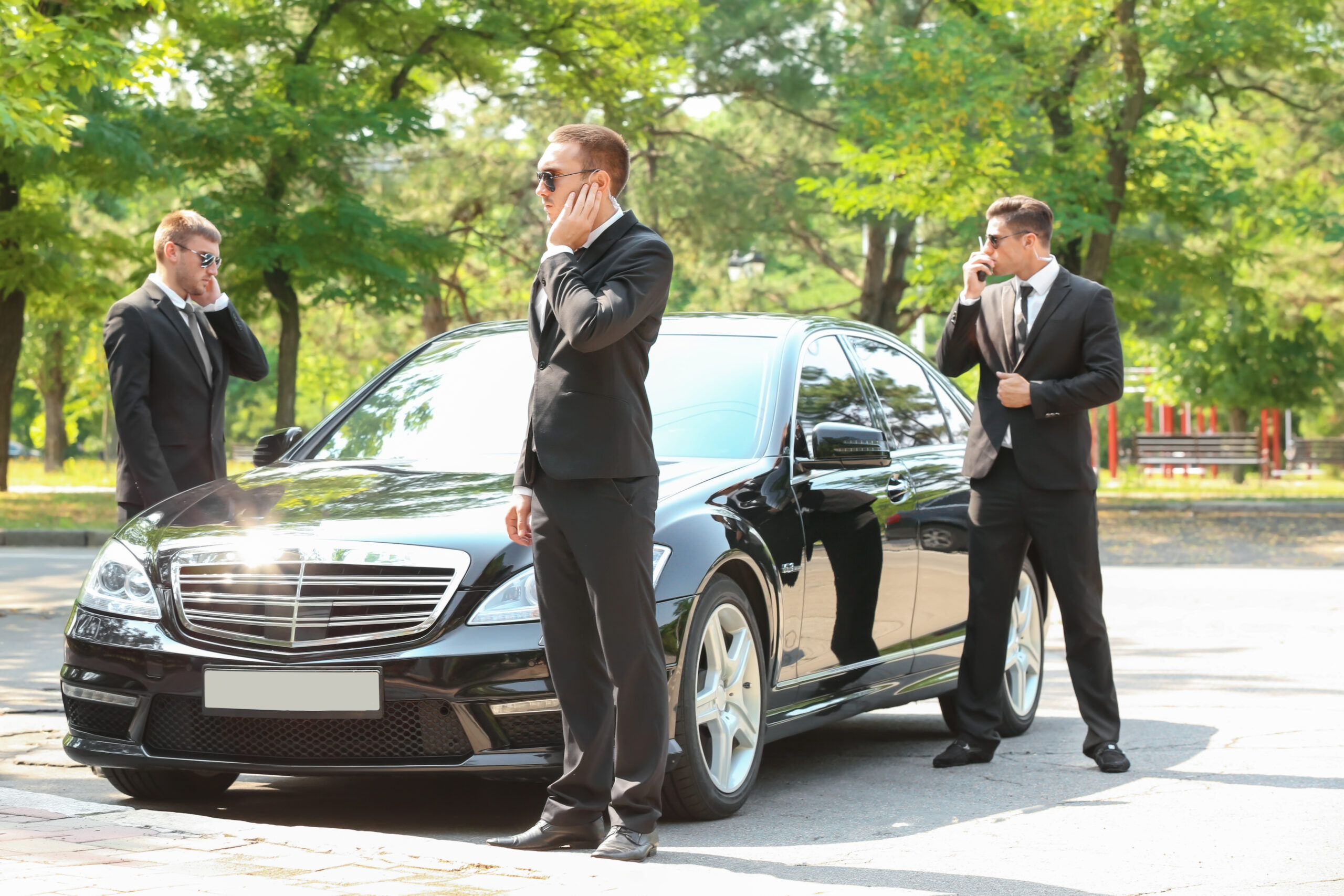 Handsome bodyguards near car outdoors